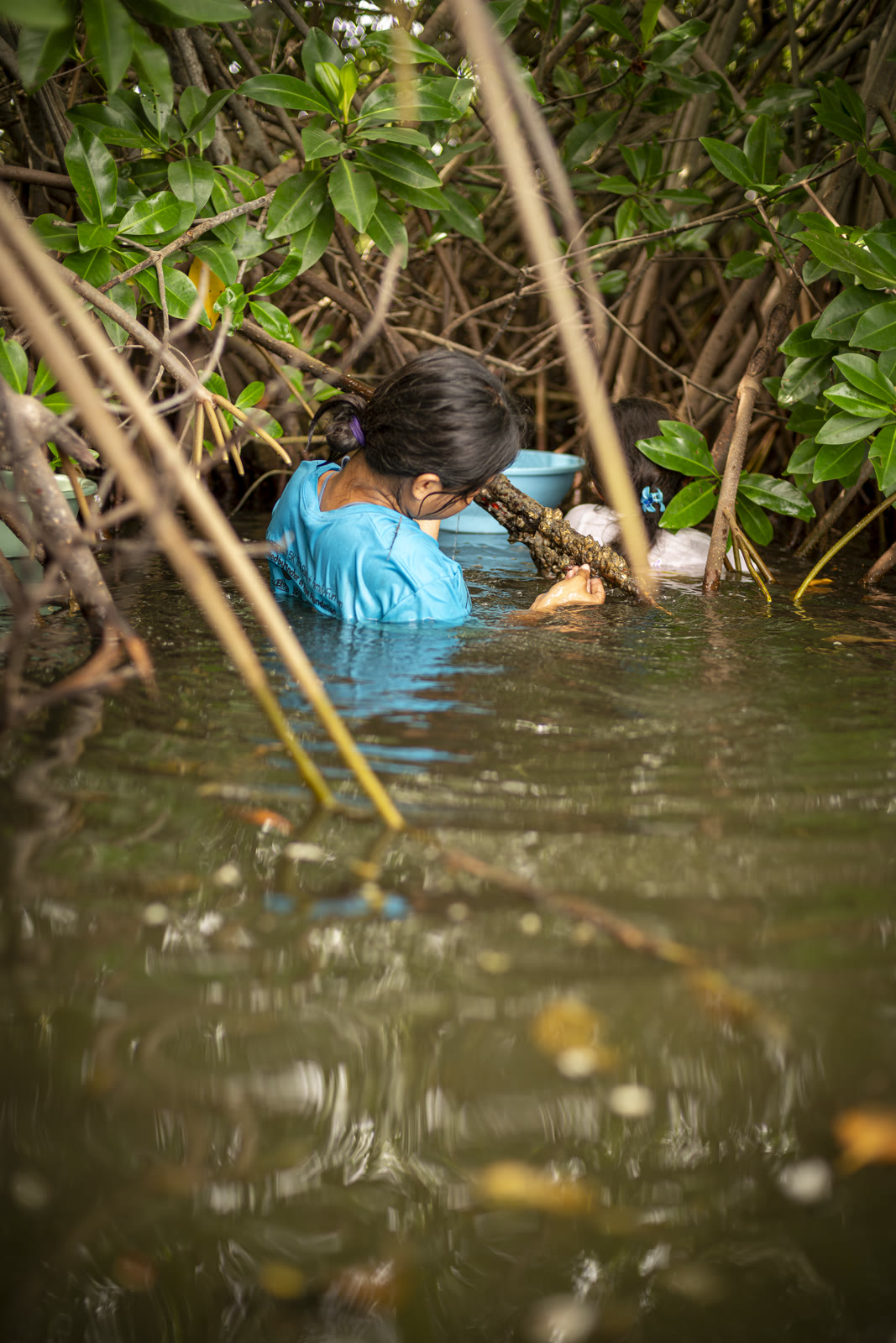 Guardianas del Estuario, Sipacate-Naranjo, Guatemala — fotografía 14 de 68, por Estudio Tul