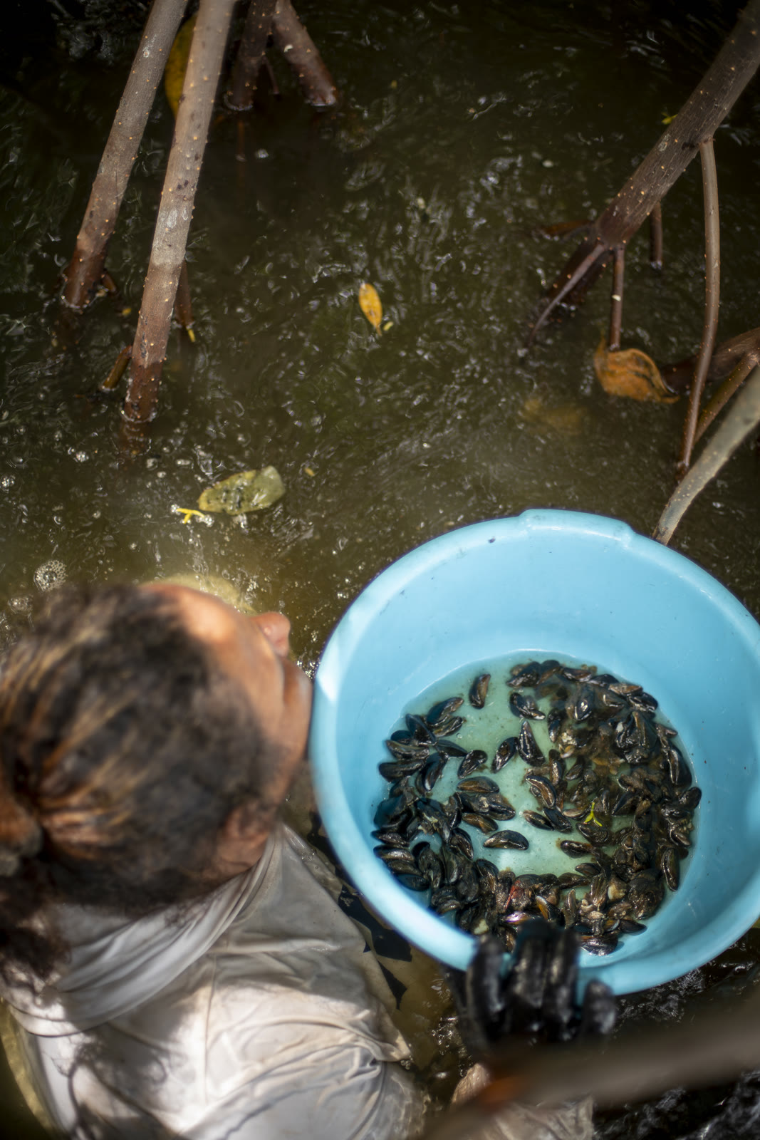 Guardianas del Estuario, Sipacate-Naranjo, Guatemala — fotografía 16 de 68, por Estudio Tul