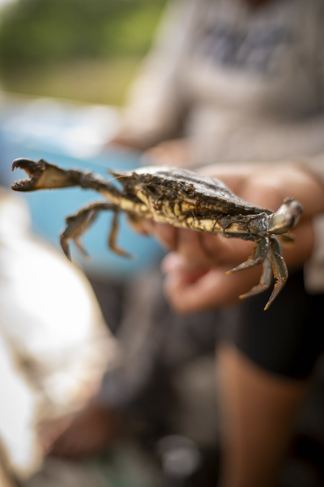 Guardianas del Estuario, Sipacate-Naranjo, Guatemala — fotografía 19 de 68, por Estudio Tul