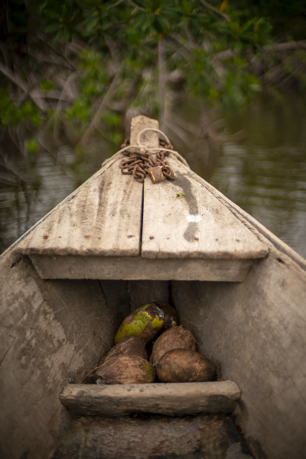 Guardianas del Estuario, Sipacate-Naranjo, Guatemala — fotografía 61 de 68, por Estudio Tul