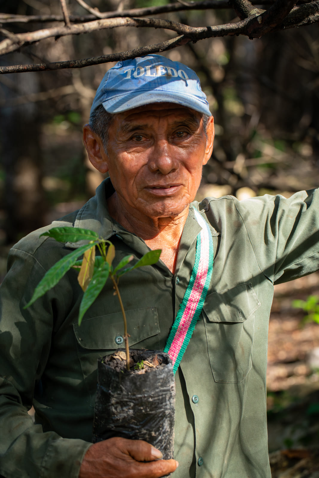 Herbal Cacao, Belice · Lachuá, Guatemala — fotografía 25 de 86, por Estudio Tul