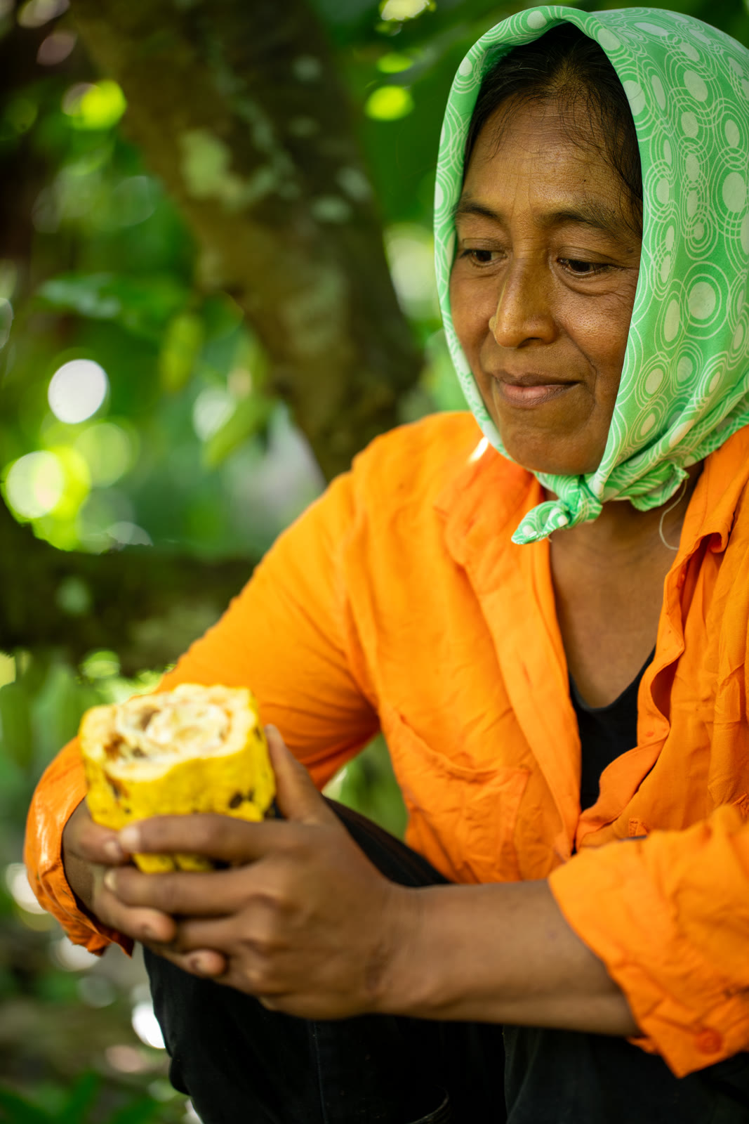 Herbal Cacao, Belice · Lachuá, Guatemala — fotografía 45 de 86, por Estudio Tul