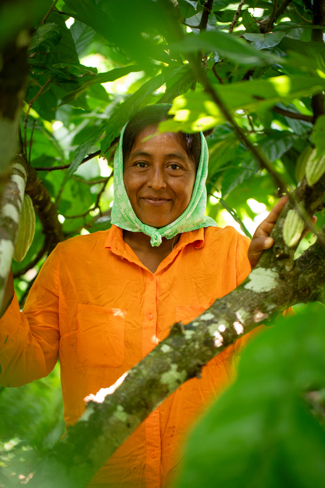 Herbal Cacao, Belice · Lachuá, Guatemala — fotografía 57 de 86, por Estudio Tul