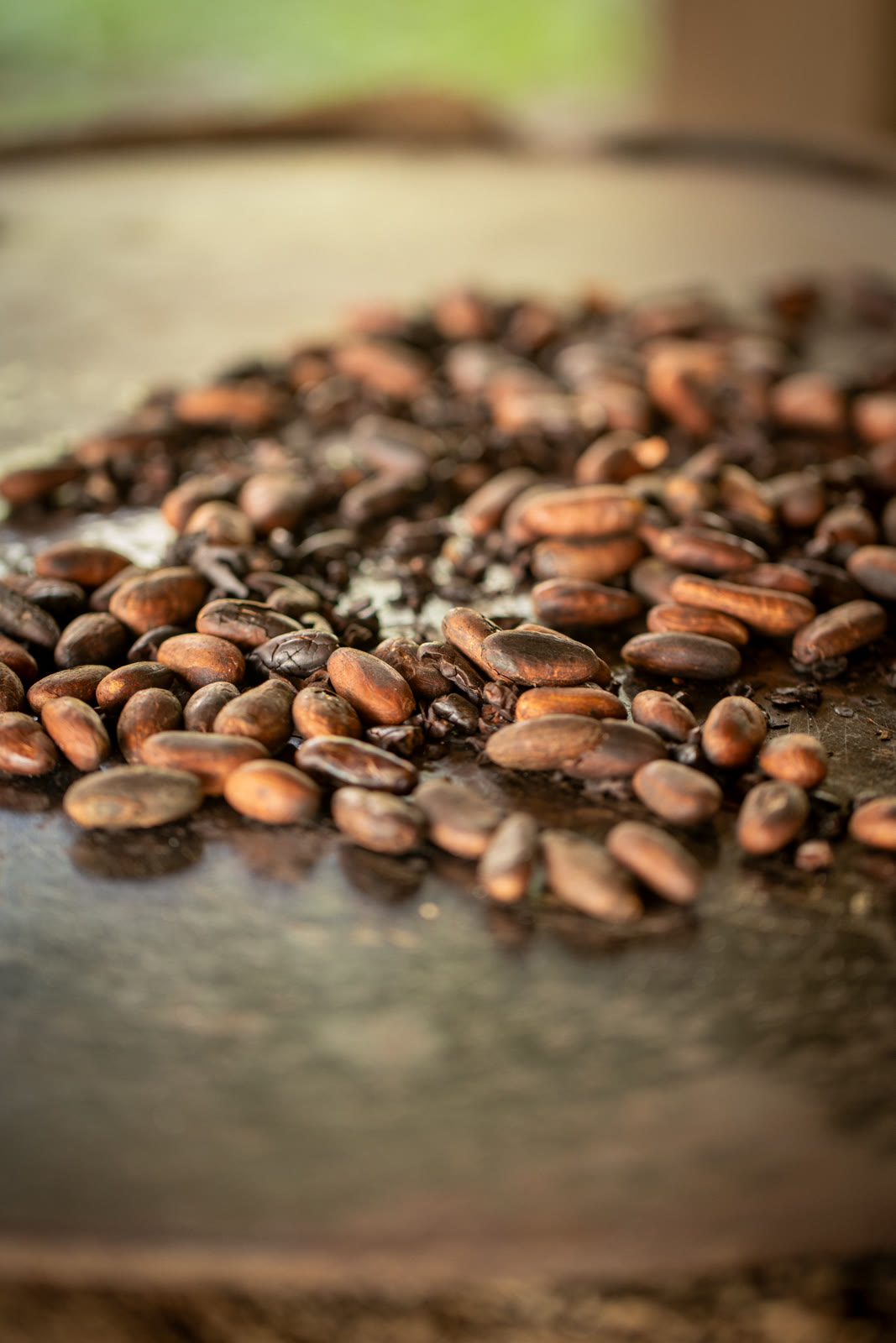 Herbal Cacao, Belice · Lachuá, Guatemala — fotografía 65 de 86, por Estudio Tul