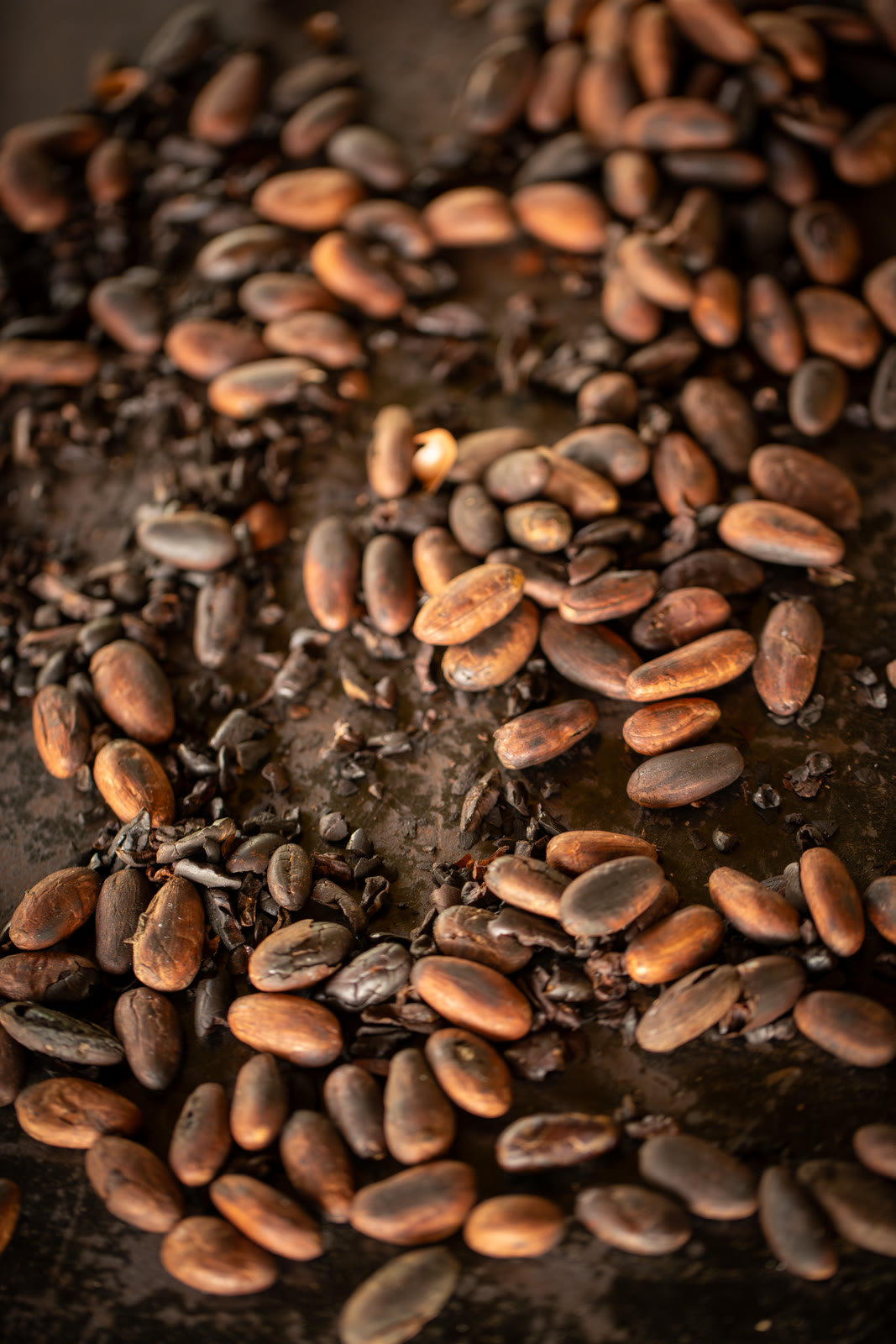 Herbal Cacao, Belice · Lachuá, Guatemala — fotografía 67 de 86, por Estudio Tul