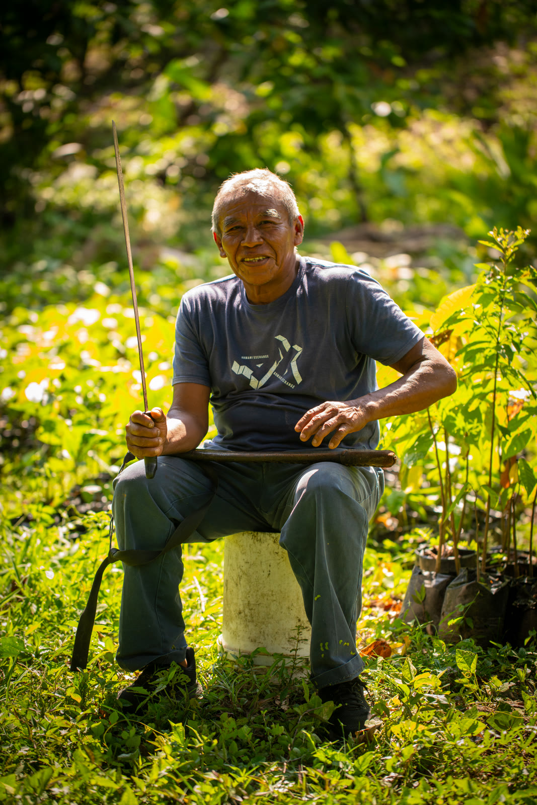 Herbal Cacao, Belice · Lachuá, Guatemala — fotografía 75 de 86, por Estudio Tul