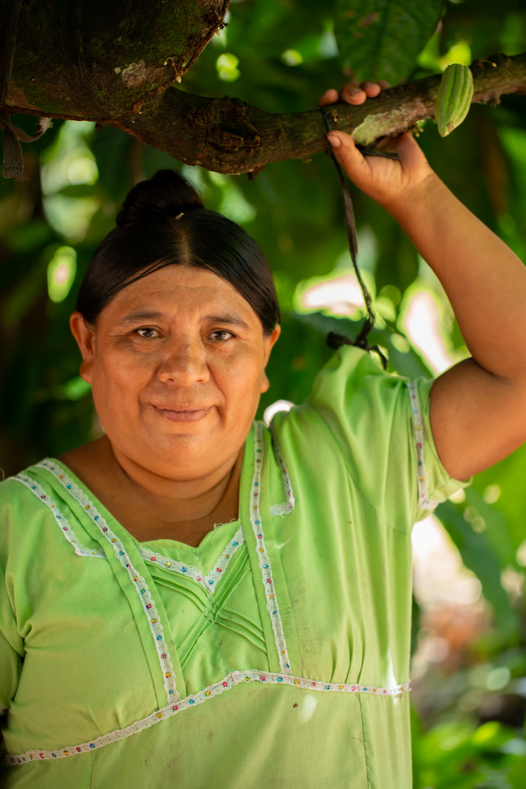 Herbal Cacao, Belice · Lachuá, Guatemala — fotografía 7 de 86, por Estudio Tul