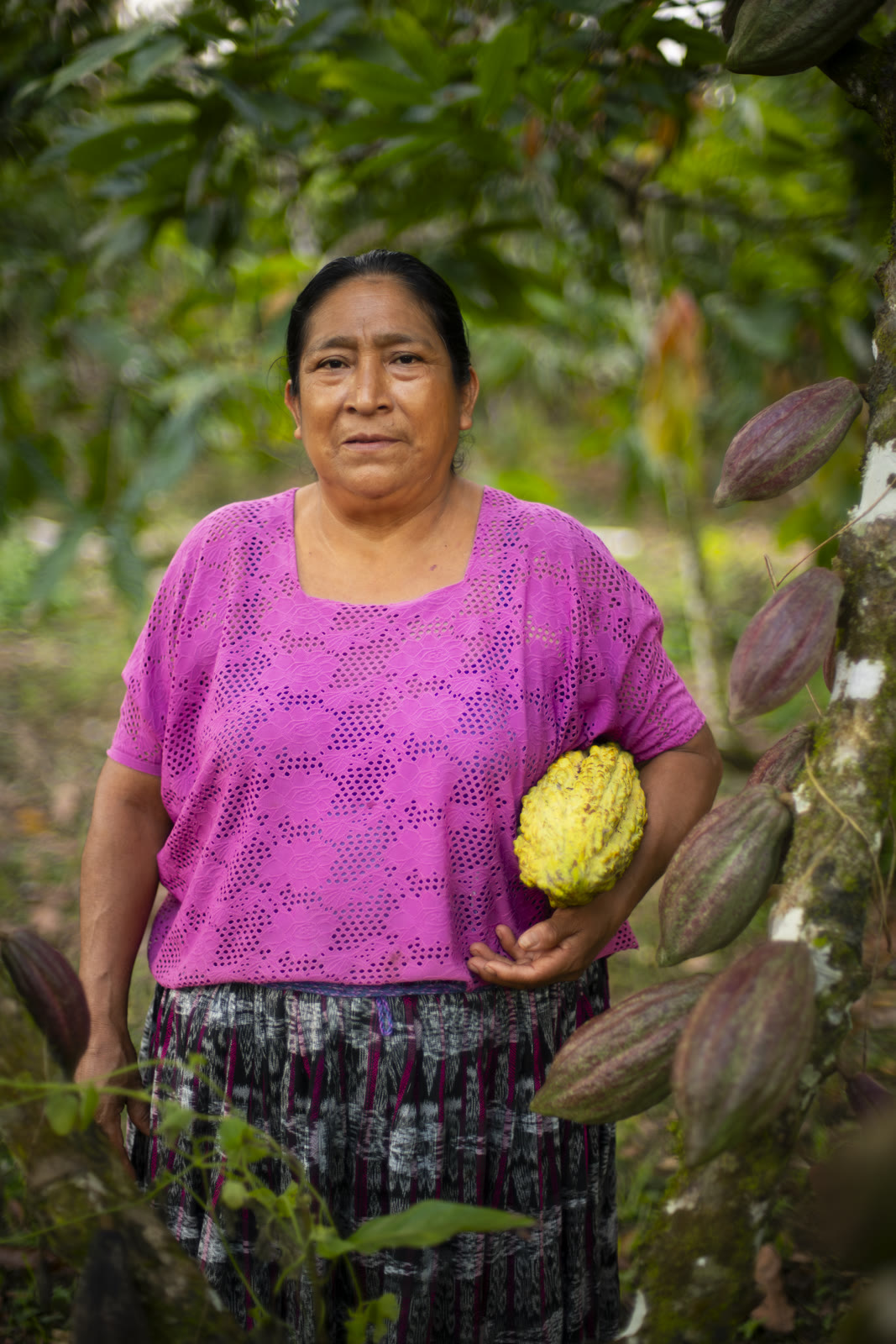 Herbal Cacao, Belice · Lachuá, Guatemala — fotografía 22 de 86, por Estudio Tul