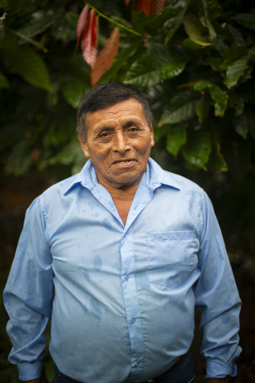 Herbal Cacao, Belice · Lachuá, Guatemala — fotografía 34 de 86, por Estudio Tul