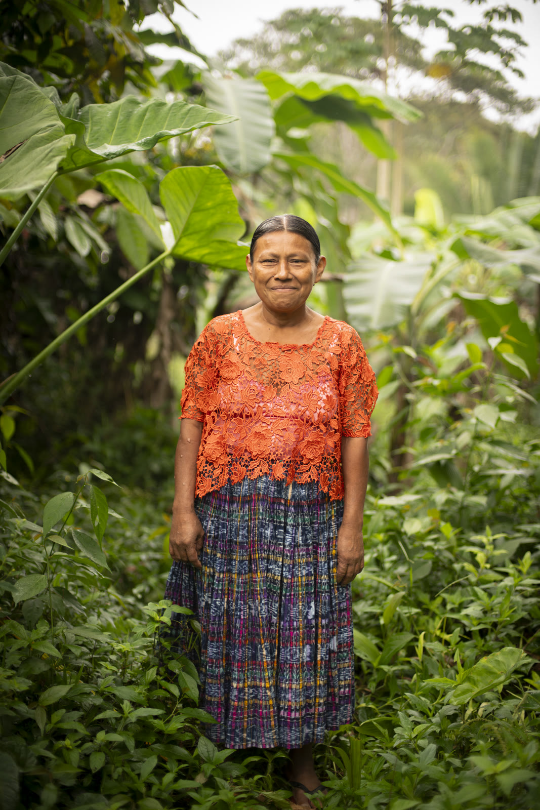 Herbal Cacao, Belice · Lachuá, Guatemala — fotografía 38 de 86, por Estudio Tul