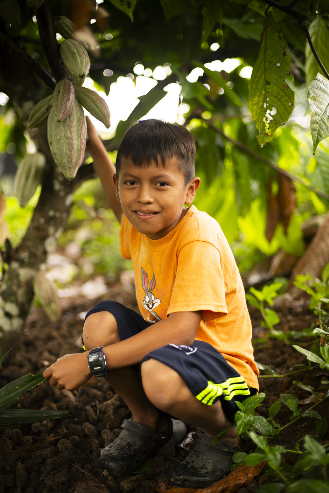Herbal Cacao, Belice · Lachuá, Guatemala — fotografía 46 de 86, por Estudio Tul