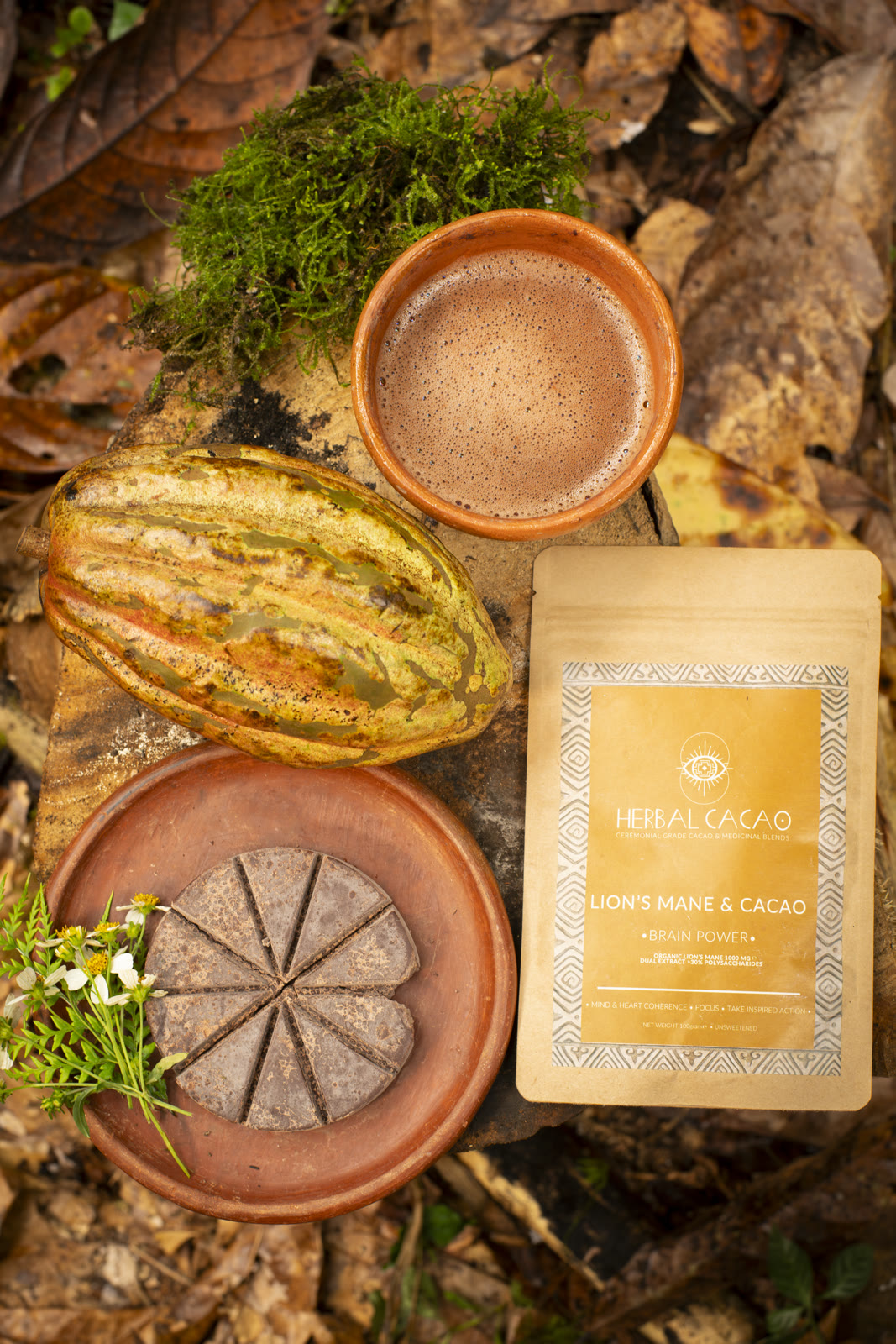 Herbal Cacao, Belice · Lachuá, Guatemala — fotografía 77 de 86, por Estudio Tul