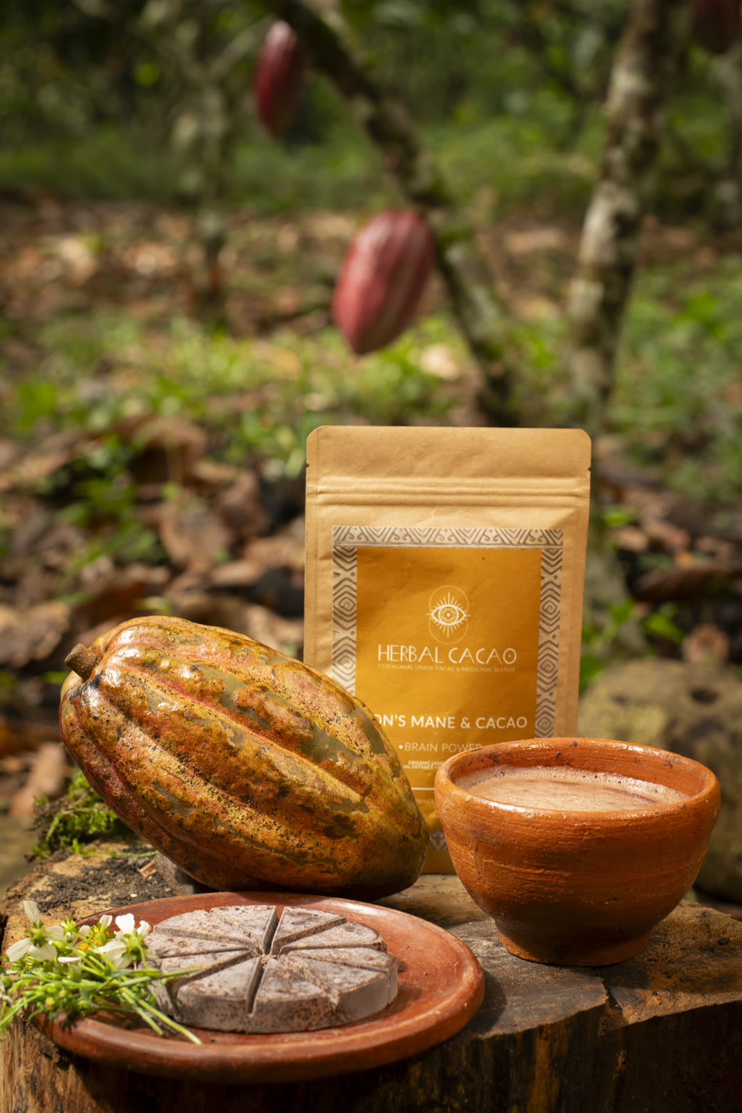 Herbal Cacao, Belice · Lachuá, Guatemala — fotografía 80 de 86, por Estudio Tul