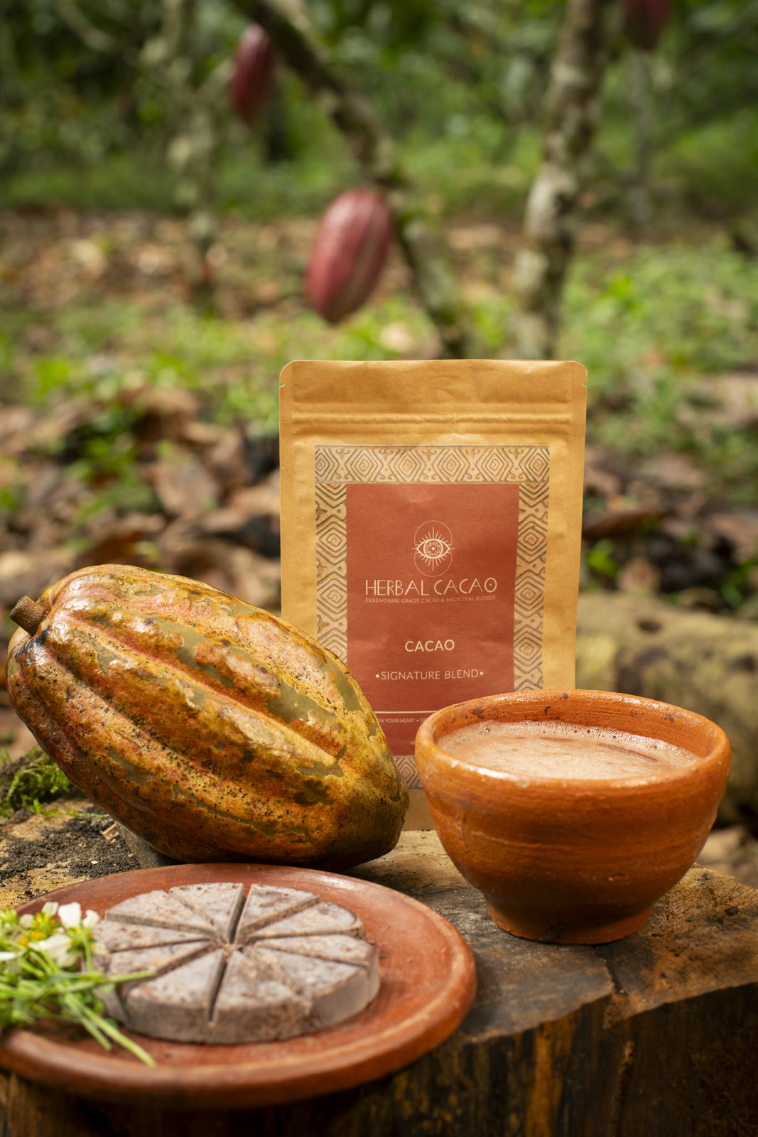 Herbal Cacao, Belice · Lachuá, Guatemala — fotografía 81 de 86, por Estudio Tul