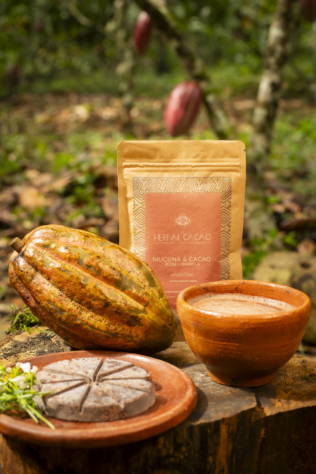 Herbal Cacao, Belice · Lachuá, Guatemala — fotografía 82 de 86, por Estudio Tul