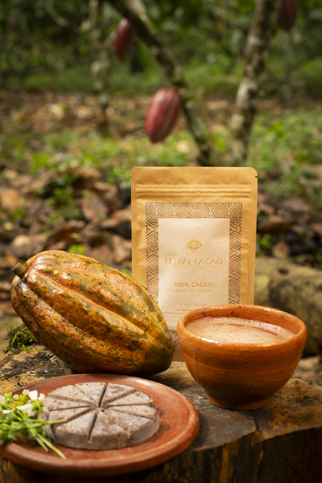 Herbal Cacao, Belice · Lachuá, Guatemala — fotografía 83 de 86, por Estudio Tul