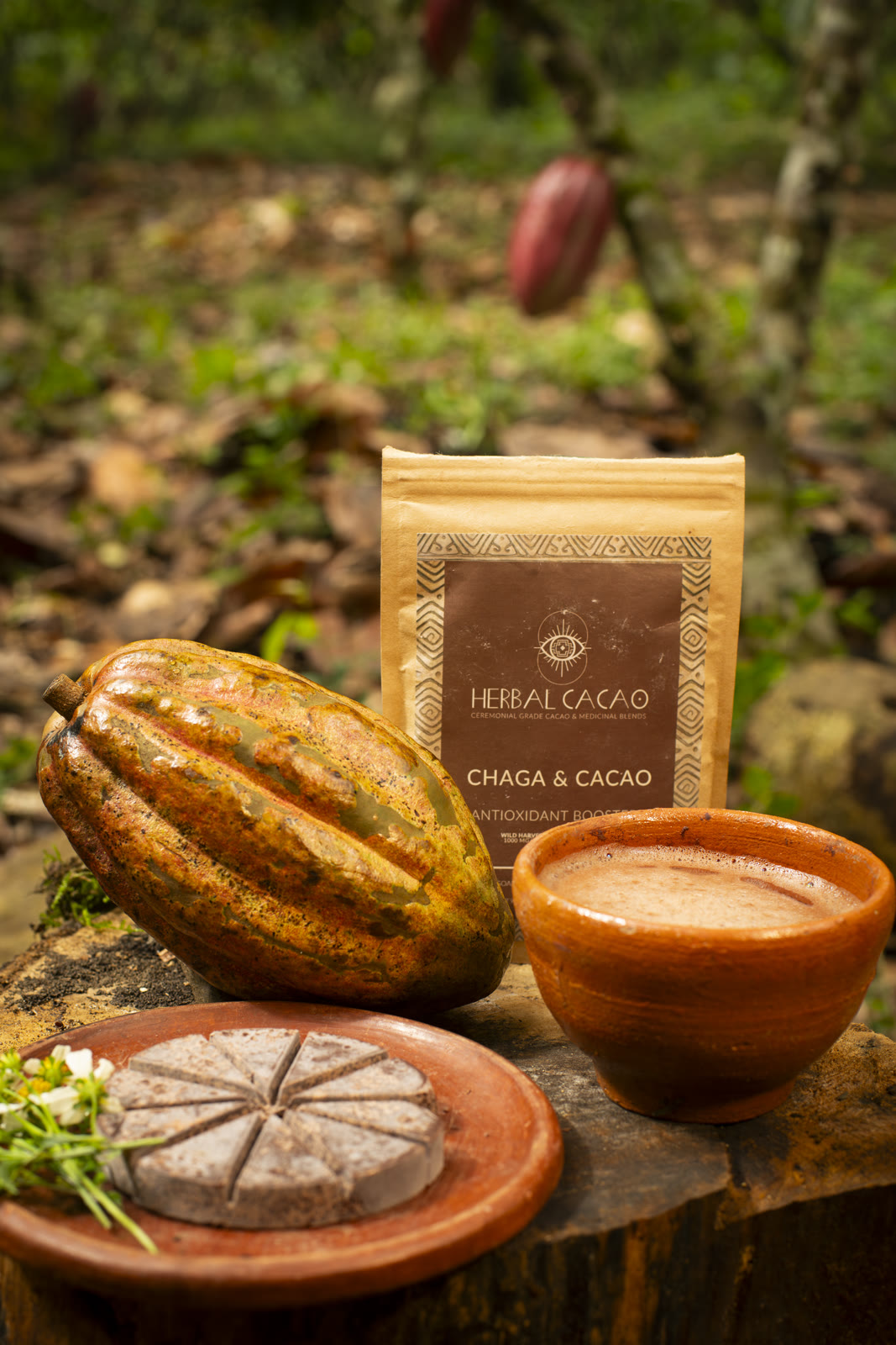 Herbal Cacao, Belice · Lachuá, Guatemala — fotografía 84 de 86, por Estudio Tul