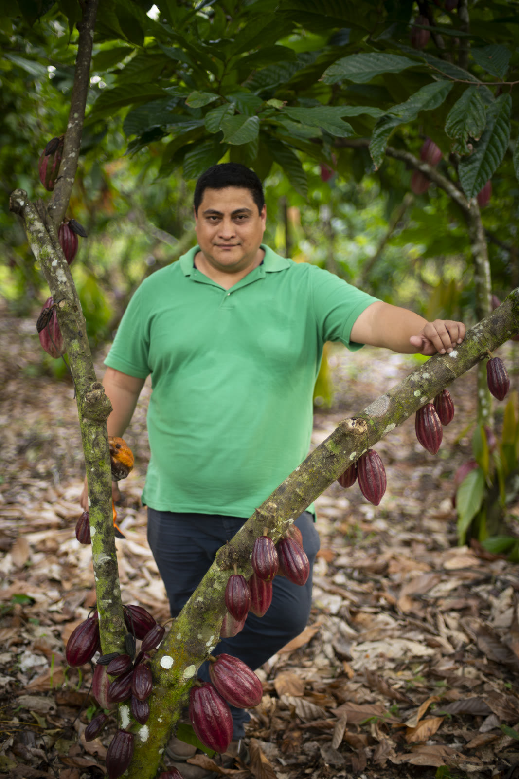 Herbal Cacao, Belice · Lachuá, Guatemala — fotografía 18 de 86, por Estudio Tul